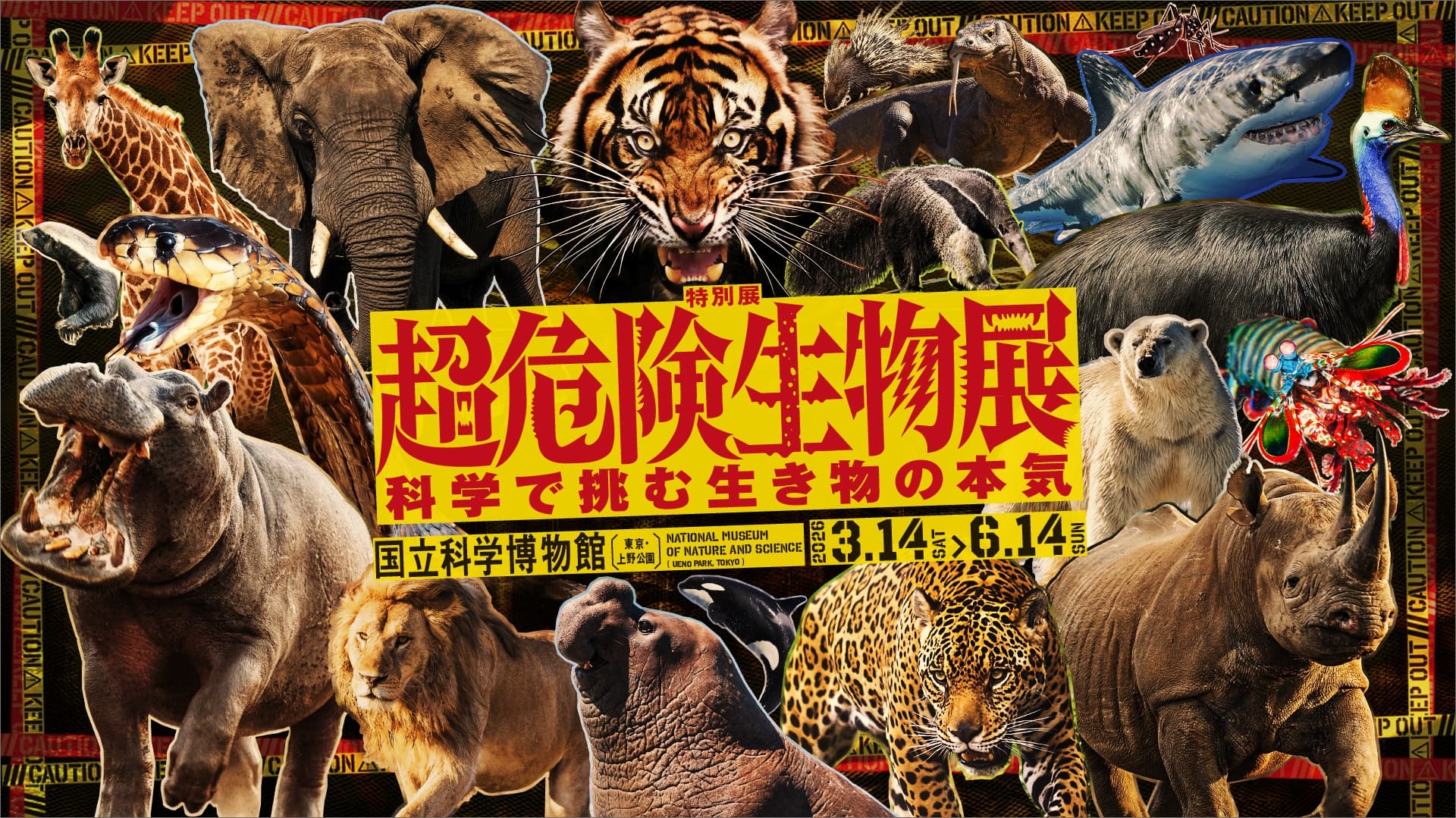 超危険生物展 科学で挑む生き物の本気 | 国立科学博物館 2026年3月14日(土)~6月14日(日)